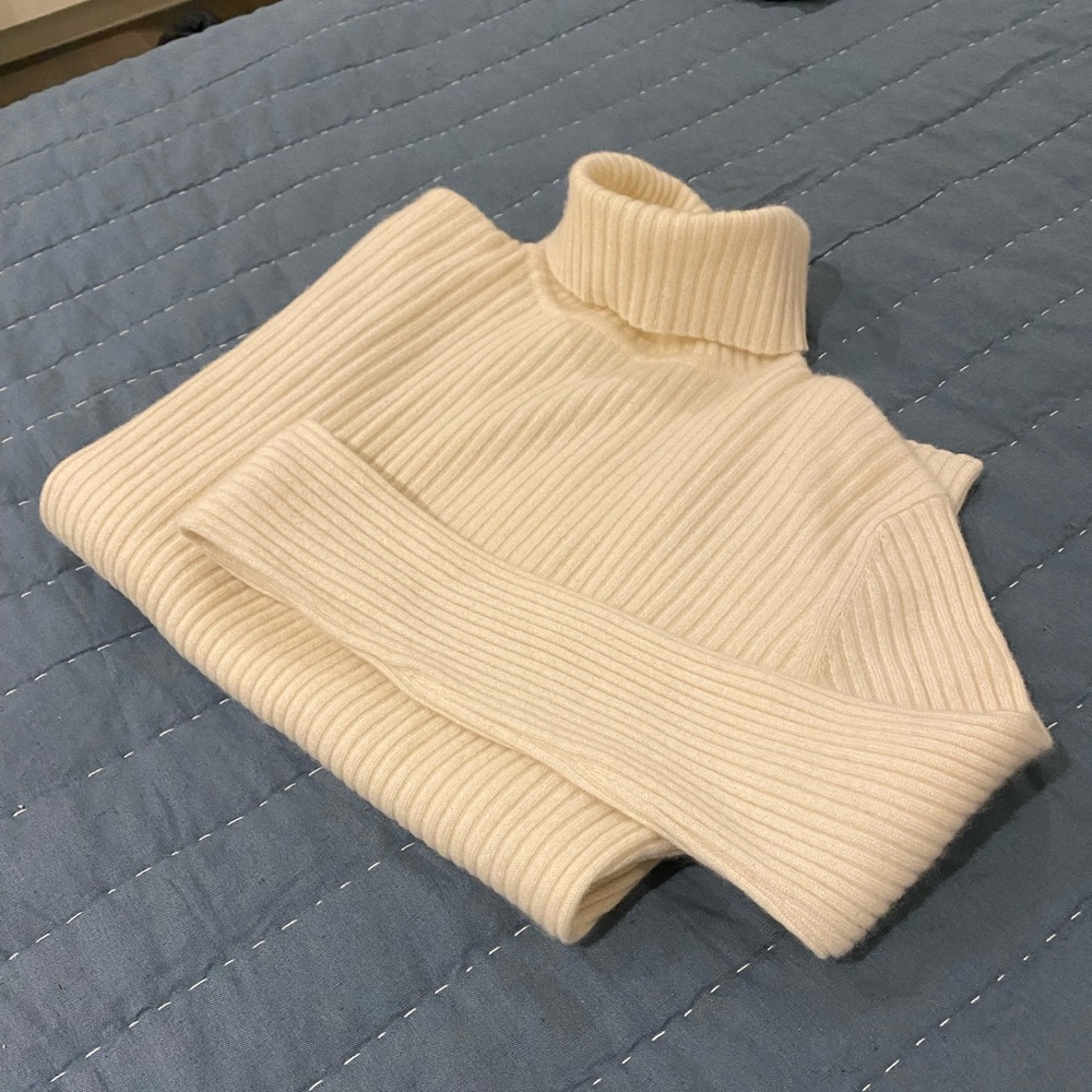 TSE Cashmere Turtleneck